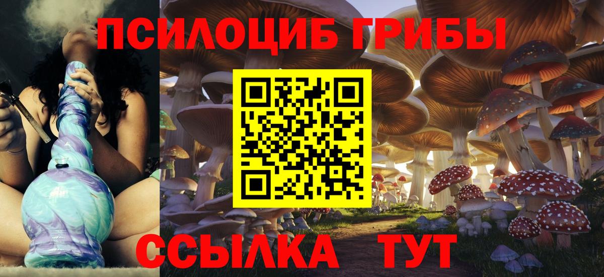 Галлюциногенные грибы MAGIC MUSHROOMS  Псилоцибиновые грибы Psilocybine cubensis  Вход с VPN  сколько стоит  Коломна 
